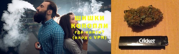 СК Зеленокумск
