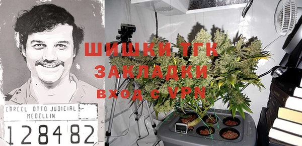 СК Зеленокумск