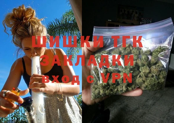 СК Зеленокумск