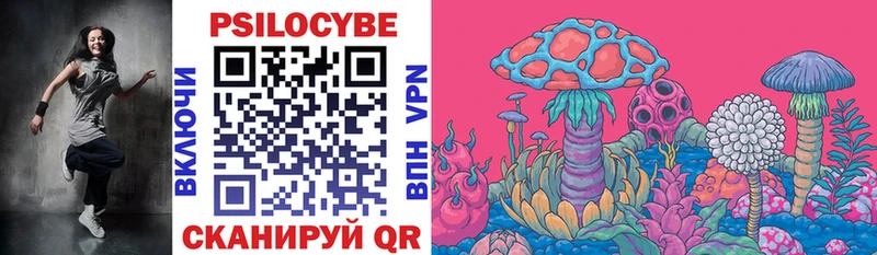 Галлюциногенные грибы Psilocybine cubensis  Купить где  Ивангород 